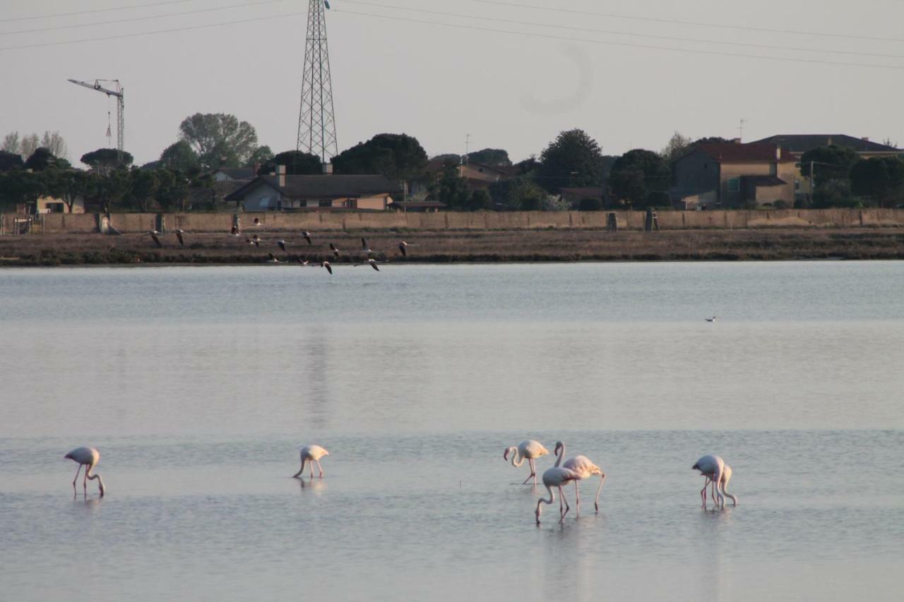 Bungalow Gambaro كافالّينو المظهر الخارجي الصورة